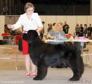 Превью фото № 206951