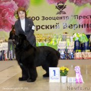 Превью фото № 206958