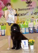 Превью фото № 206974