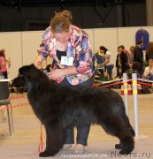 Превью фото № 207021