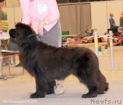 Превью фото № 207025