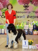 Превью фото № 207027