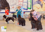 Превью фото № 207034