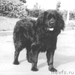 Превью фото № 2072