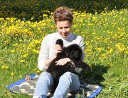 Превью фото № 207222