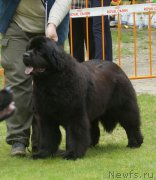 Превью фото № 207262