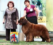 Превью фото № 207305