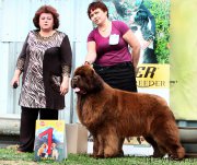 Превью фото № 207306