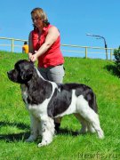 Превью фото № 207307