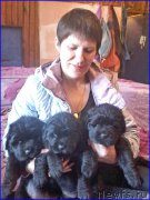 Превью фото № 207359