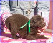 Превью фото № 207361