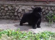 Превью фото № 207463