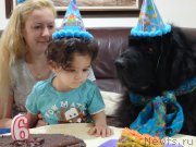 Превью фото № 207478