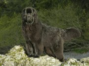 Превью фото № 207570