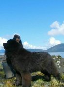 Превью фото № 207572