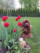 Превью фото № 207585