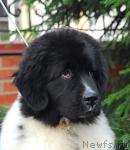 Превью фото № 20759