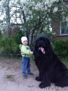 Превью фото № 207675