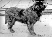 Превью фото № 207693