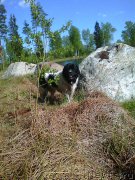 Превью фото № 207722