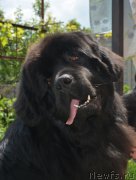 Превью фото № 207749