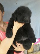 Превью фото № 207756