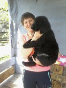 Превью фото № 207757