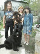 Превью фото № 207762