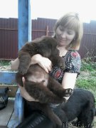 Превью фото № 207763