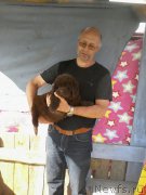 Превью фото № 207764