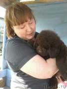 Превью фото № 207765