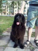 Превью фото № 207789