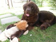 Превью фото № 207809