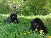 Превью фото № 207812