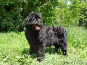 Превью фото № 207816