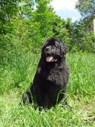 Превью фото № 207817