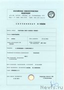 Превью фото № 207894