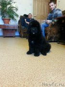 Превью фото № 207922