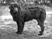 Превью фото № 207949