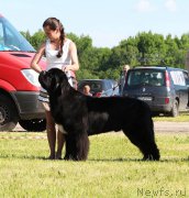 Превью фото № 207969