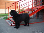 Превью фото № 207981