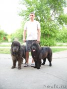 Превью фото № 207982