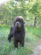 Превью фото № 207985