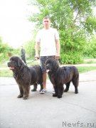 Превью фото № 207987