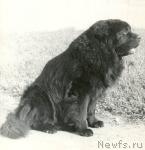 Превью фото № 2080