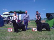 Превью фото № 208023