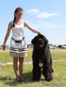 Превью фото № 208045