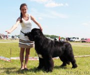 Превью фото № 208046