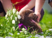 Превью фото № 208059