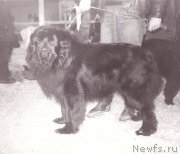 Превью фото № 208073